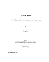 Team Lab  