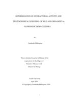 Determination of antibacterial activity and phytochemical screening of wild and ornamental flowers of Ixora coccinea