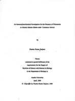 An immunohistochemical investigation for the presence of fibronectin in Atlantic Salmon (Salmo salar Linnaeus) alevins