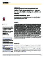 Migratory Connectivity at High Latitudes: Sabine’s Gulls (Xema sabini) from a Colony in the Canadian High Arctic Migrate to Different Oceans