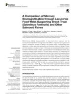 A Comparison of Mercury Biomagnification through Lacustrine Food Webs Supporting Brook Trout (Salvelinus fontinalis) and Other Salmonid Fishes