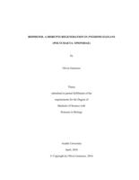 Bisphenol a disrupts regeneration in Pygospio elegans (Polychaeta: spionidae)