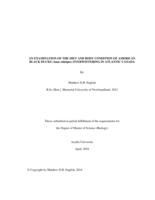 An examination of the diet and body condition of American black ducks (Anas rubripes) overwintering in Atlantic Canada