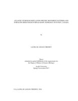 Atlantic sturgeon population-specific movement patterns and surfacing behaviour in Minas Basin, Inner Bay of Fundy, Canada