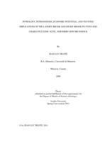 Petrology, petrogenesis, economic potential, and tectonic implications of the Landry Brook and Dickie Brook Plutons and Charlo plutonic suite, Northern New Brunswick