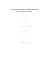 Female autodetection and plasticity of pheromone response in the corn earworm moth  Helicoverpa zea