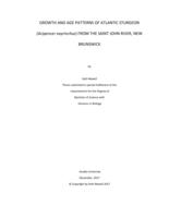 Growth and age patterns of Atlantic Sturgeon (Acipencer oxyrinchus) from the Saint John river, New Brunswick