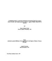 A morphological and phylogenetic investigation of Porphyra linearis Greville and Porphyra purpurea (Roth) C. Agardh forms from Nova Scotia