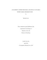 Attachment, support processes, and efficacy dynamics within cardiac rehabilitation