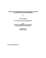 Possible selves, self-perception, and current self-concept in adolescents with learning disabilities