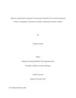 Olfactory receptor neuron responses of eastern spruce budworm, Choristoneura fumiferana Clemens. (Lepidoptera: Tortricidae) to female sex pheromones and host volatiles