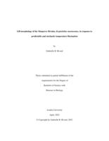 Gill morphology of the Mangrove Rivulus, Kryptolebias marmoratus, in response to predictable and stochastic temperature fluctuation