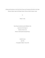 Lithology and geochemistry of the Nicola Group volcanic and volcaniclastic Host rocks to the Copper Mountain alkaline copper-gold porphyry Deposit, Princeton, British Columbia, Canada.