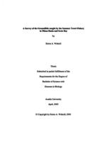 A survey of the groundfish caught by the summer trawl fishery in Minas Basin and Scots Bay