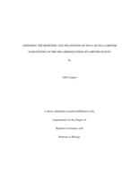 Assessing the response and transition of Nova Scotia lobster harvesters on the decarbonization of lobster fleets