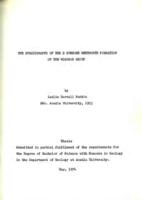 The stratigraphy of the B subzone Wentworth Formation of the Windsor Group