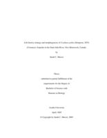 Life history strategy and morphogenesis of Cyathura polita (Stimpson, 1855) (Crustacea: Isopoda) in the Saint John River, New Brunswick, Canada