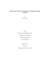 Dynamics of E. coli O157:H7 persistence and migration on baby spinach