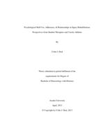 Psychological skill use, adherence, & relationships in injury rehabilitation